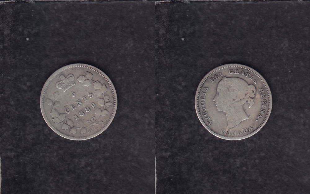 1886 CANADA 0.05$ CENTS SILVER COIN photo 1886 CANADA 0.05$ CENTS SILVER COIN photo