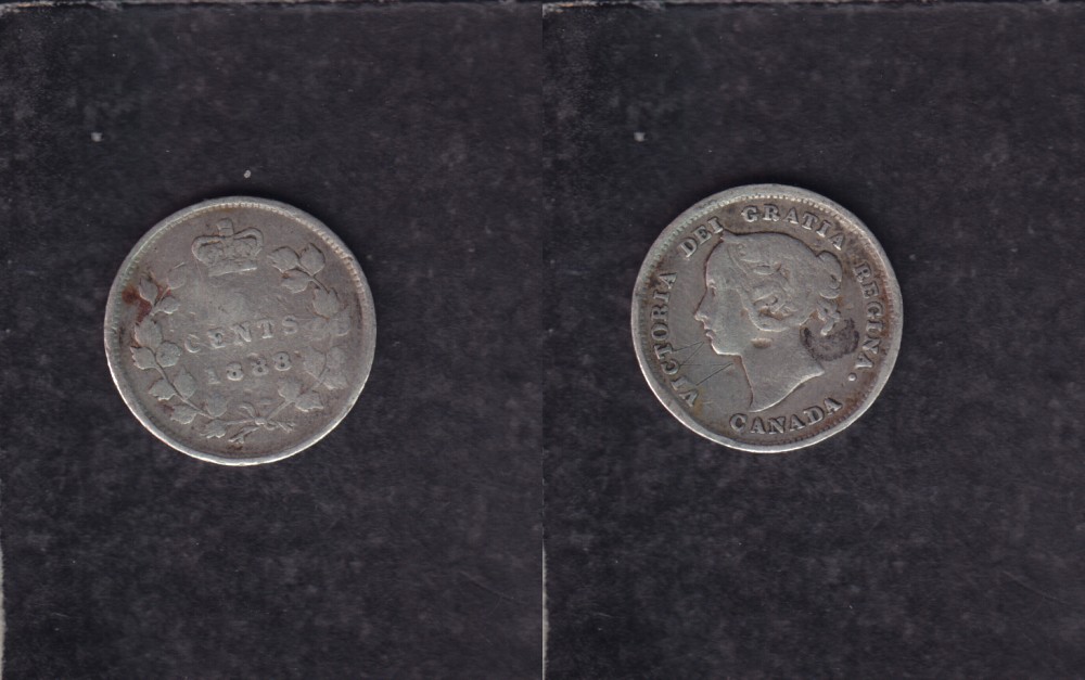 1888 CANADA 0.05$ CENTS SILVER COIN photo 1888 CANADA 0.05$ CENTS SILVER COIN photo