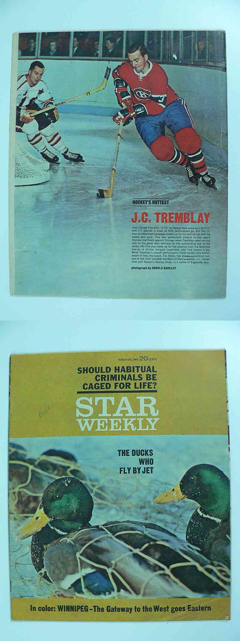 1965-66 TORONTO STAR FULL MAGAZINE J.C.TREMBLAY POSTER photo