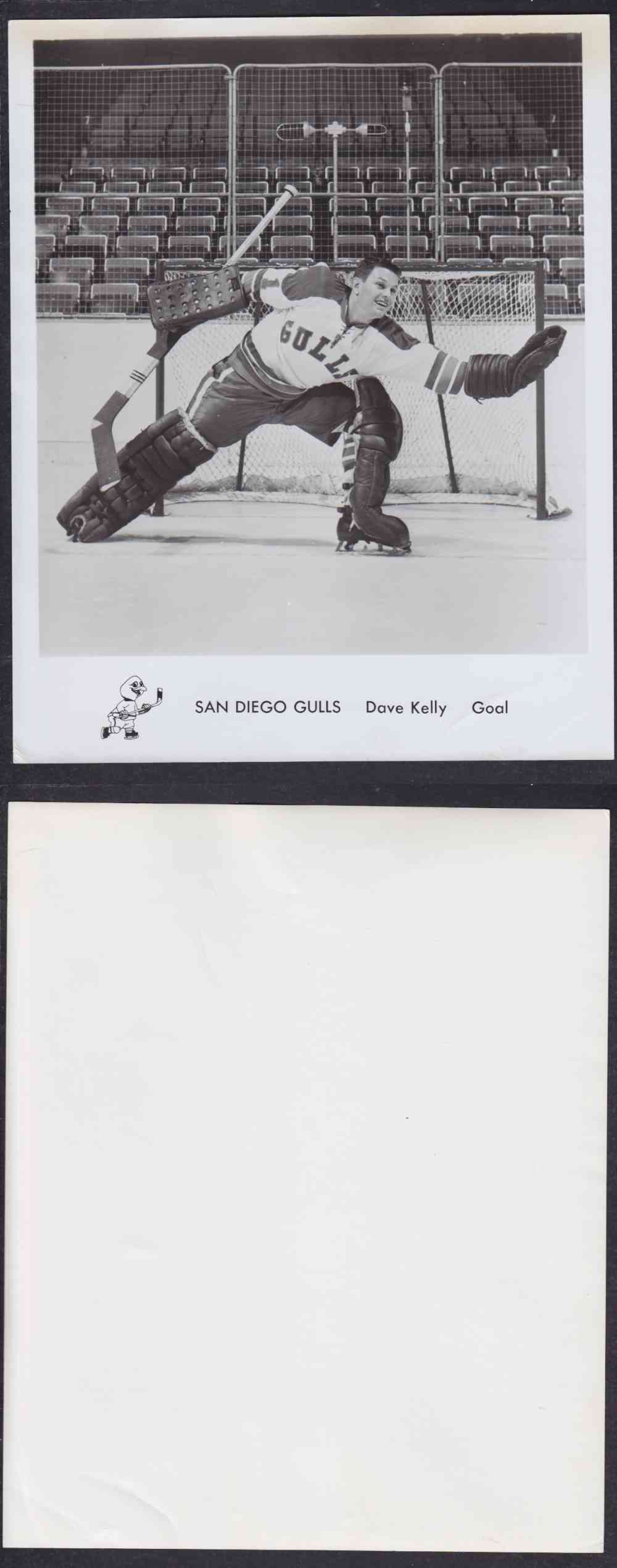 1960'S SAN DIEGO GULLS PHOTO D. KELLY photo