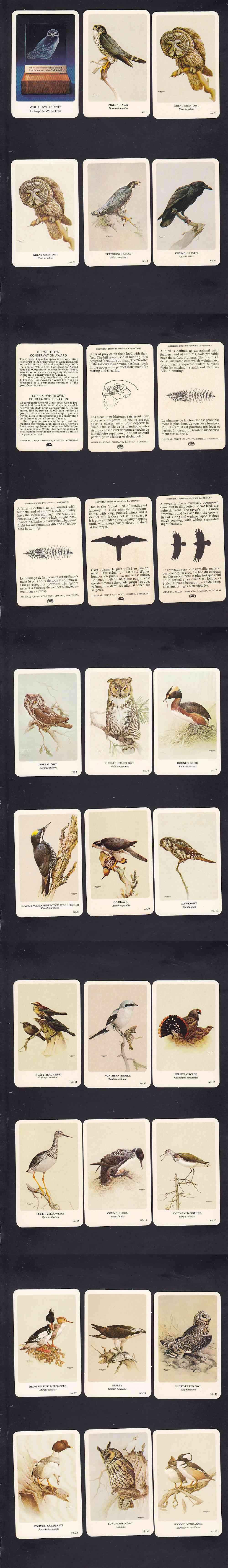 1962 GENERAL CIGAR NORTHERN BIRDS CARD FULL SET 37/37 photo