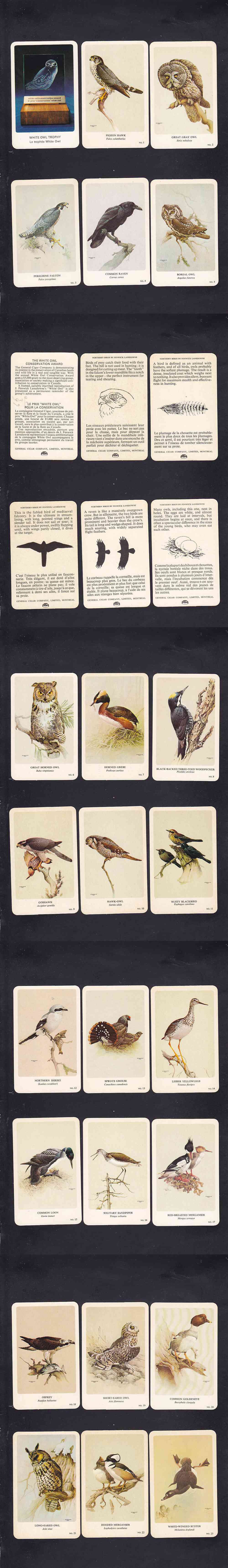 1962 GENERAL CIGAR NORTHERN BIRDS CARD FULL SET 37/37 photo
