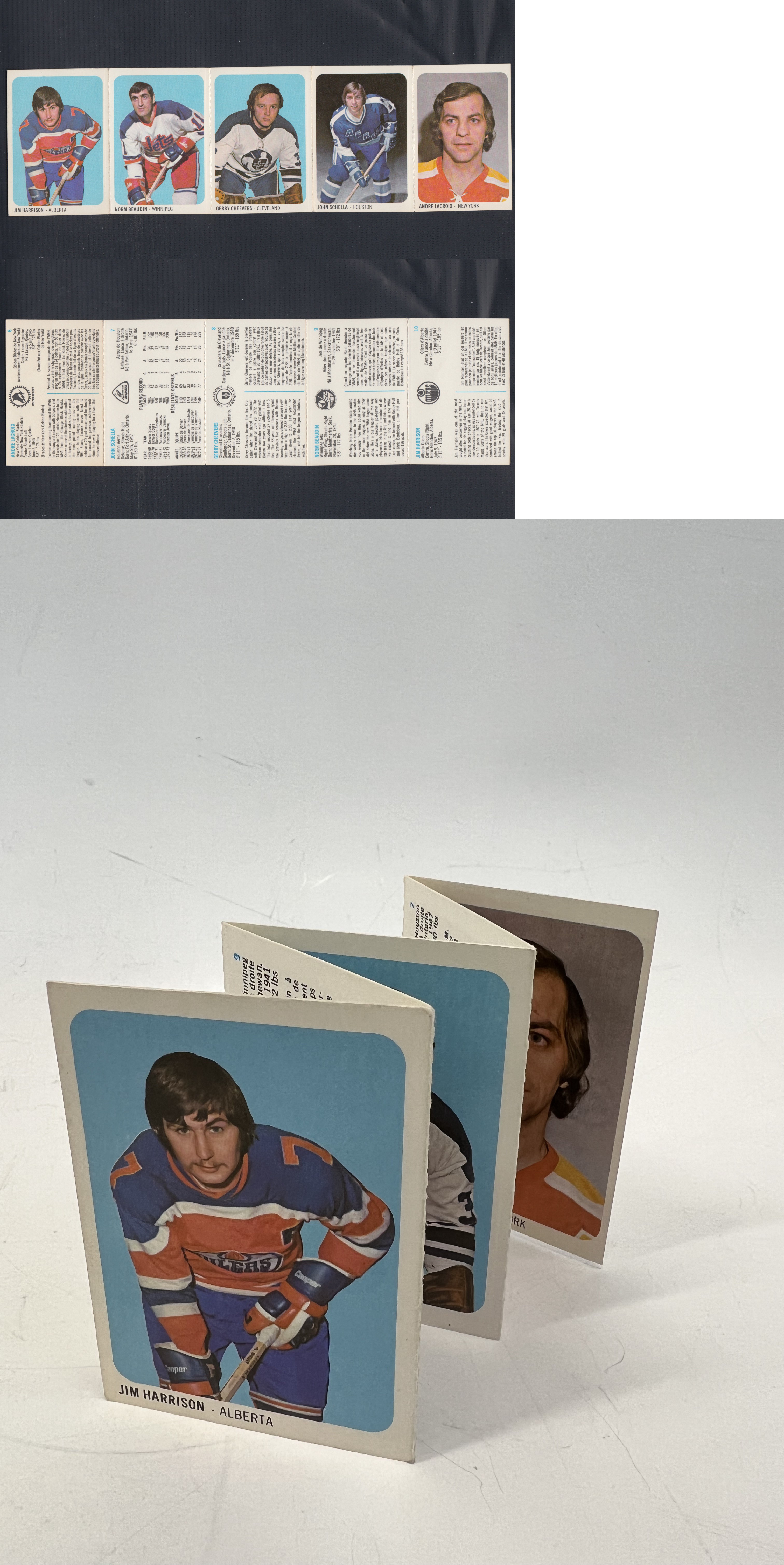 1973-74 WHA QUAKER OATS HOCKEY CARD PANEL 6-10 photo