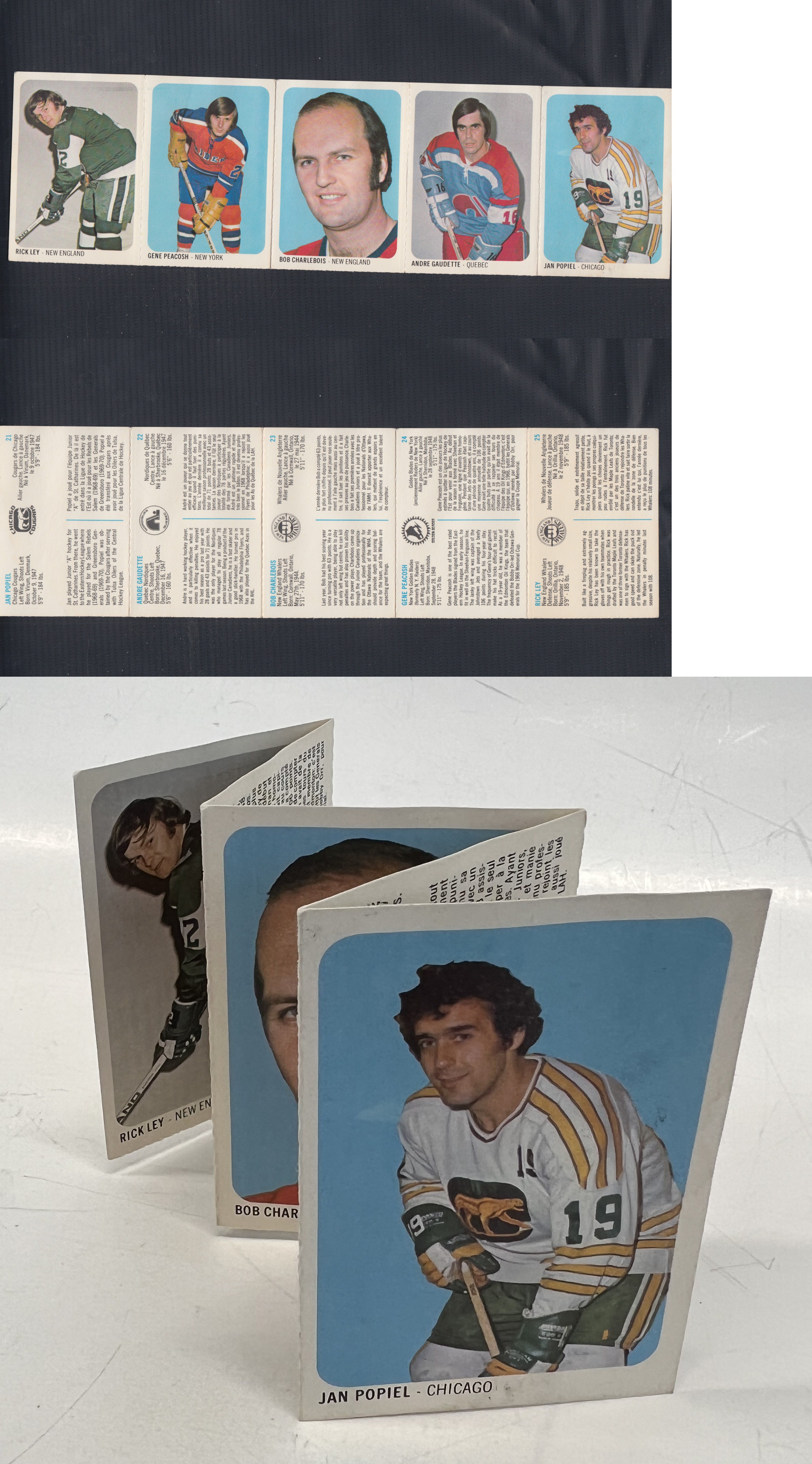 1973-74 WHA QUAKER OATS HOCKEY CARD PANEL 21-25 photo