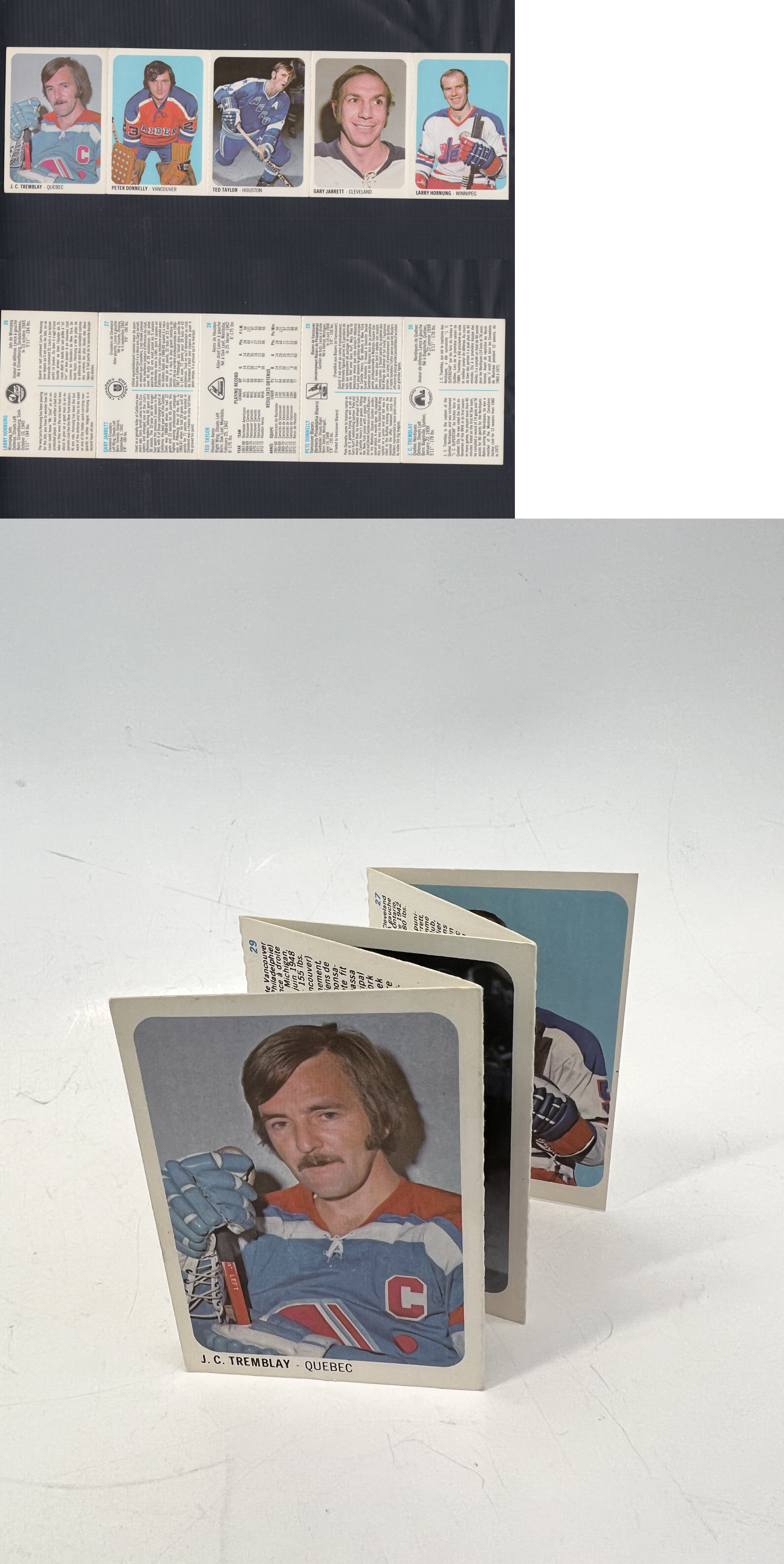1973-74 WHA QUAKER OATS HOCKEY CARD PANEL 26-30 photo